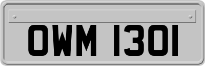 OWM1301