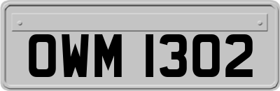 OWM1302