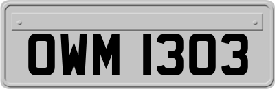 OWM1303