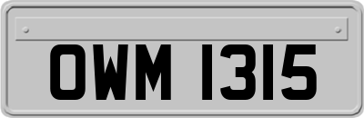 OWM1315