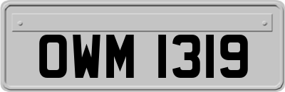 OWM1319