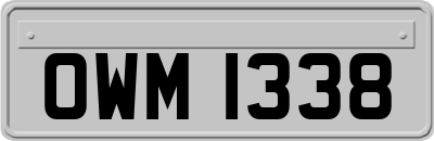 OWM1338