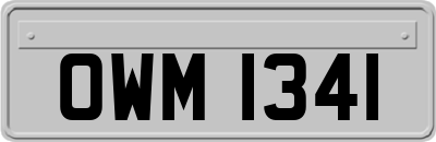 OWM1341