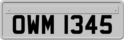 OWM1345