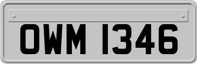 OWM1346