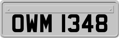 OWM1348