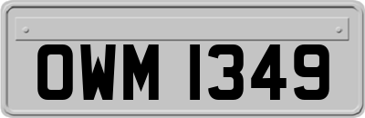 OWM1349