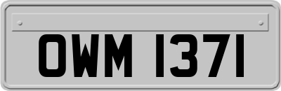 OWM1371