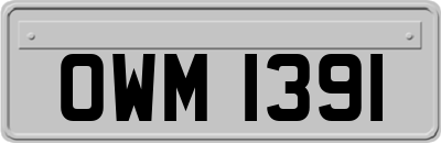 OWM1391