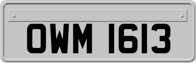 OWM1613