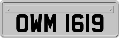 OWM1619