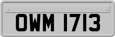 OWM1713