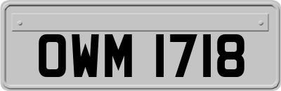 OWM1718