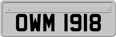 OWM1918