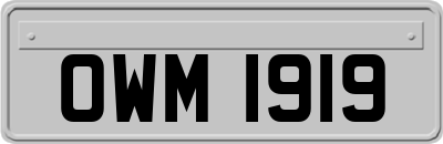 OWM1919
