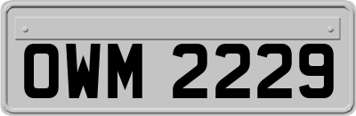 OWM2229