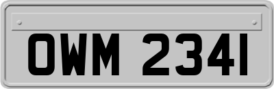 OWM2341