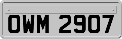 OWM2907