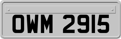 OWM2915