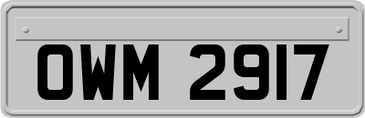 OWM2917