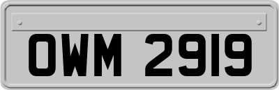 OWM2919