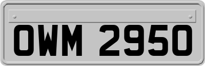 OWM2950