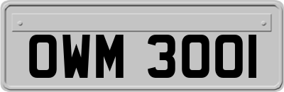 OWM3001