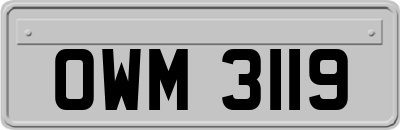 OWM3119