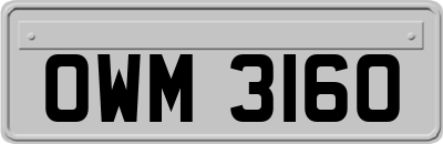 OWM3160