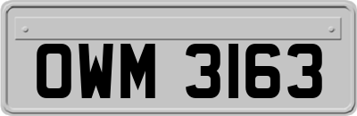 OWM3163