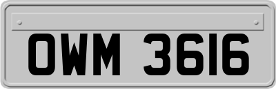 OWM3616