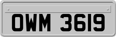 OWM3619