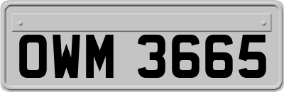 OWM3665
