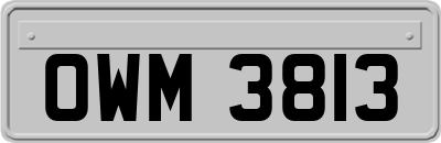 OWM3813