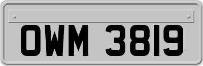 OWM3819