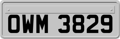 OWM3829