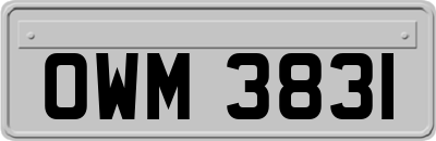 OWM3831