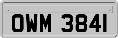 OWM3841