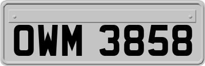 OWM3858