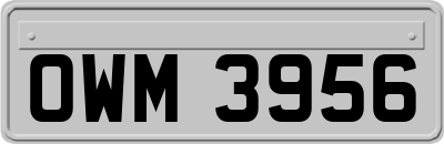 OWM3956