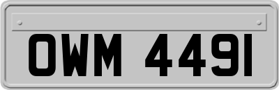 OWM4491