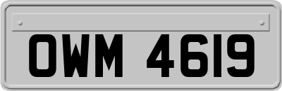 OWM4619