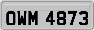 OWM4873
