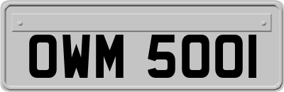 OWM5001