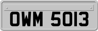 OWM5013