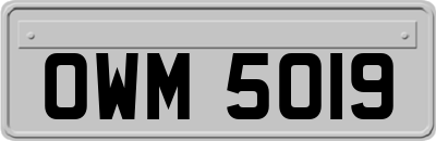 OWM5019