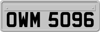 OWM5096
