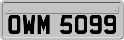 OWM5099