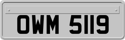 OWM5119