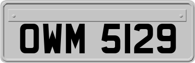 OWM5129